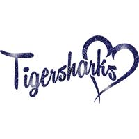 GLT6 BLUE GLITTER Thumbnail